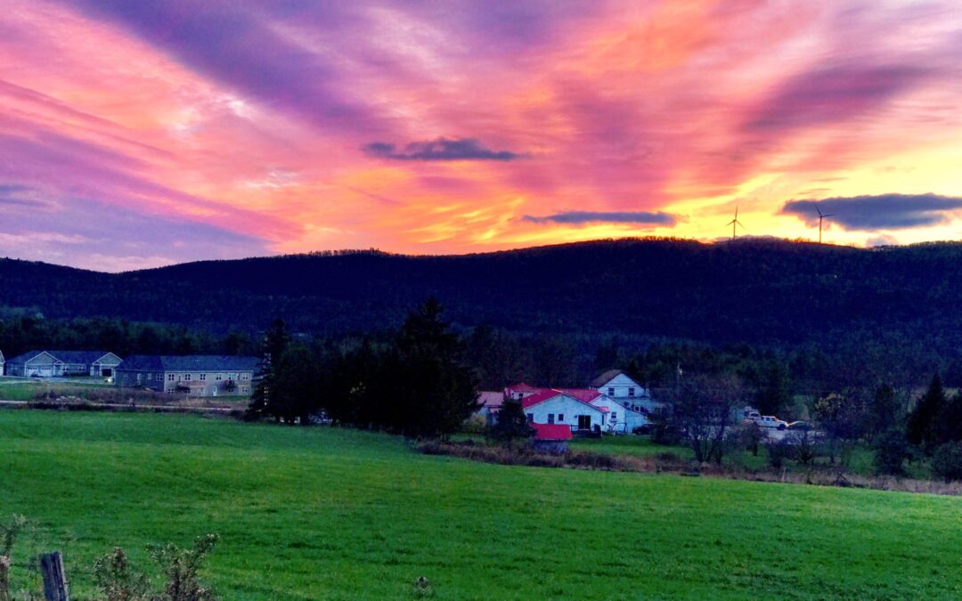 none of my business?