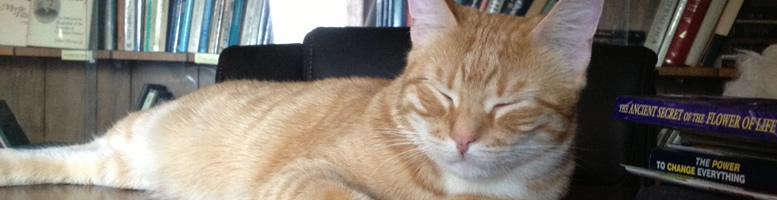 winter holidays are not an emergency