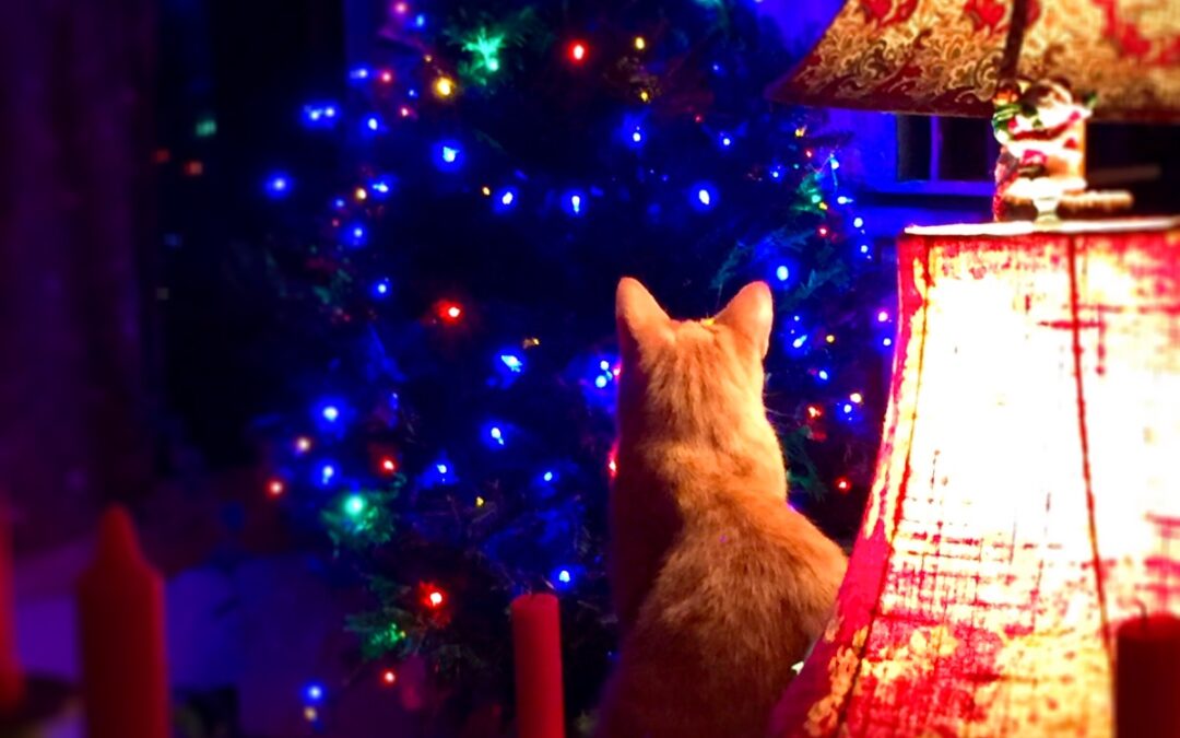 the thinking that causes bad feelings