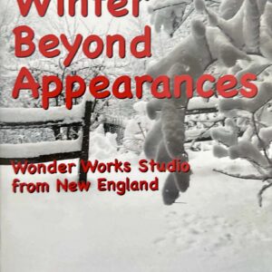 Winter Beyond Appearances
