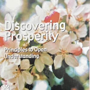 Discovering Prosperity; Principles to Open Understanding
