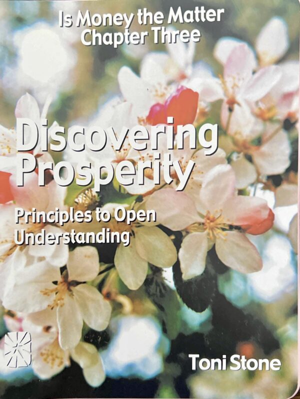 Discovering Prosperity; Principles to Open Understanding