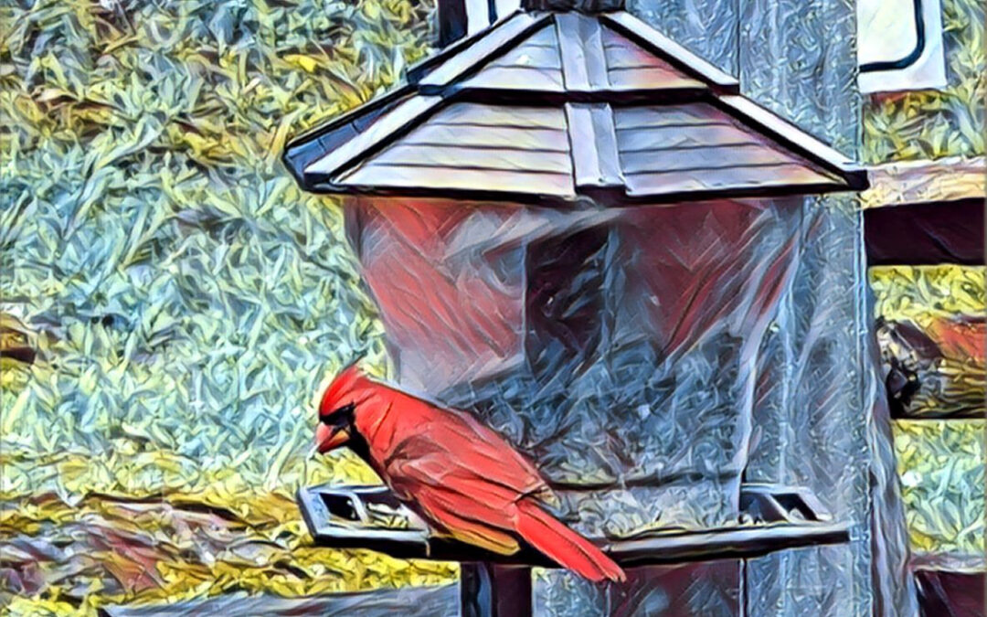 WHAT’S UNDER EVERYTHING