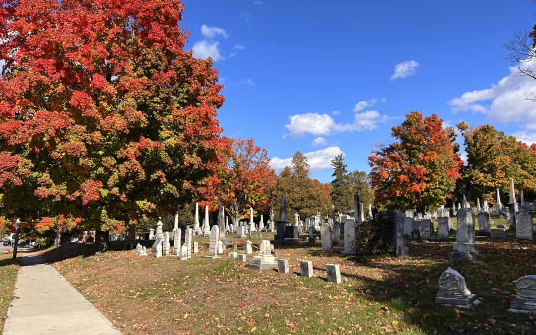 the skill of refusal