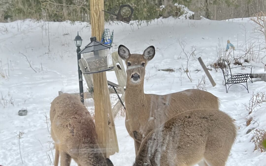 can’t force gratitude