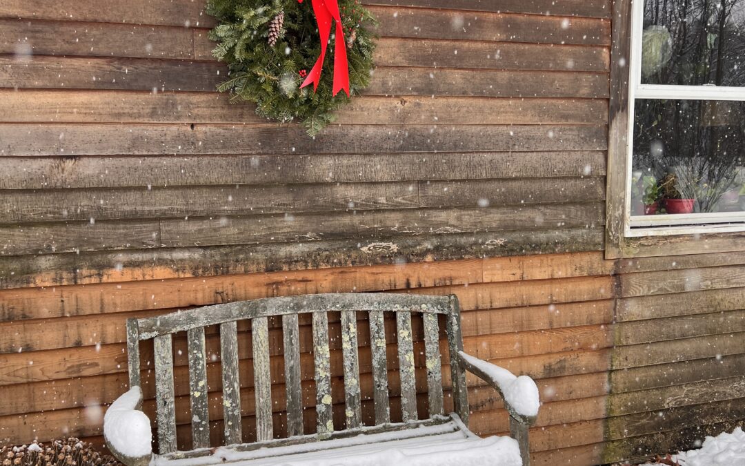 the chairs that sat out all winter