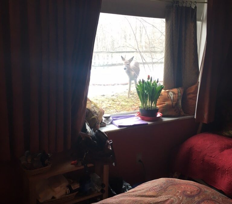 there laughter celebration