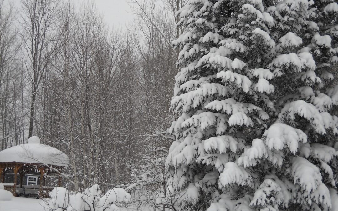 falling in love with winter again